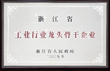 浙江省工業(yè)行業(yè)龍頭骨干企業(yè)